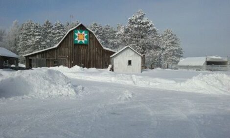 Self Sufficiency: Unpeeling the Myth, Embracing Homesteading Image